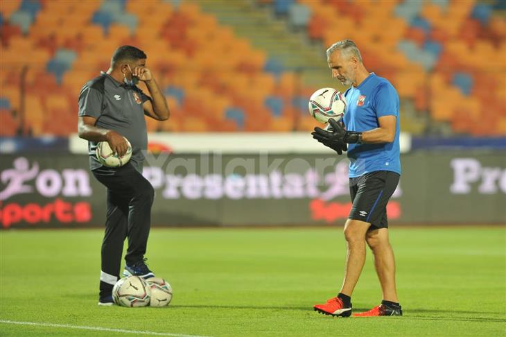 ميشيل يانكون